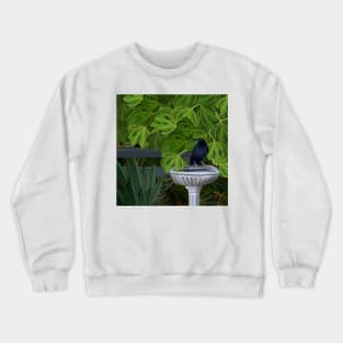 Currawong Bird Bath Fig Tree 2 Crewneck Sweatshirt